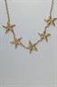 1762 starfish necklace