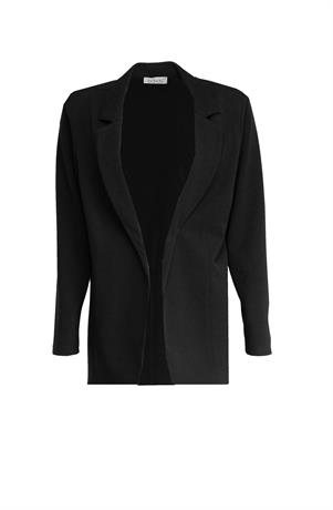 Blazer 1218