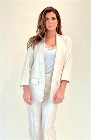 Blazer Robin