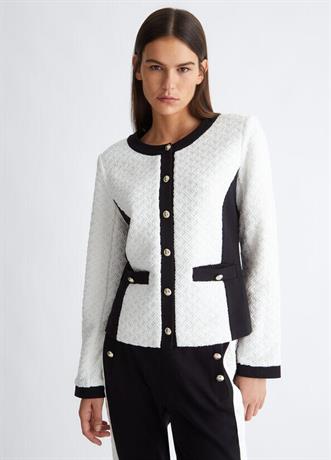 Blazer Tf3038