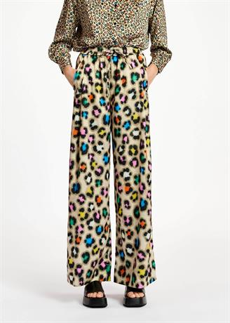 Broek Dili
