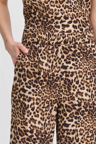 Broek Ih anisse pa