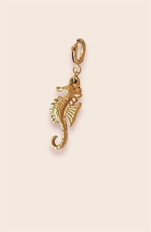 Golden sea horse