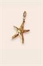 Golden starfish
