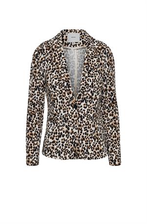 Ih kate print bl12