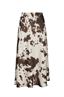Rok Viso cow 166091