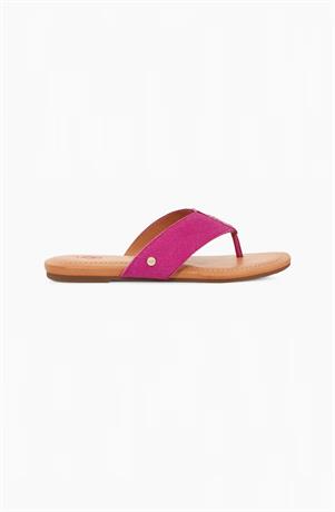 Slipper Carey