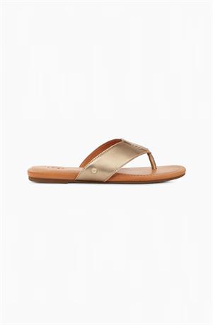 Slipper Carey
