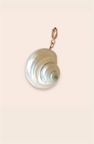 Summer real shell