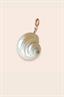 Summer real shell