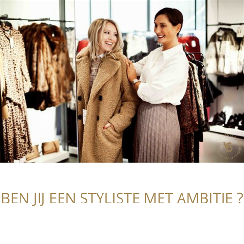 Verkoop Stylist met ambitie