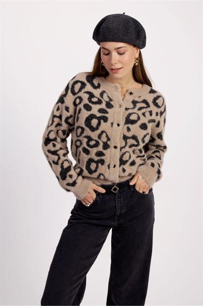 Vest 12323